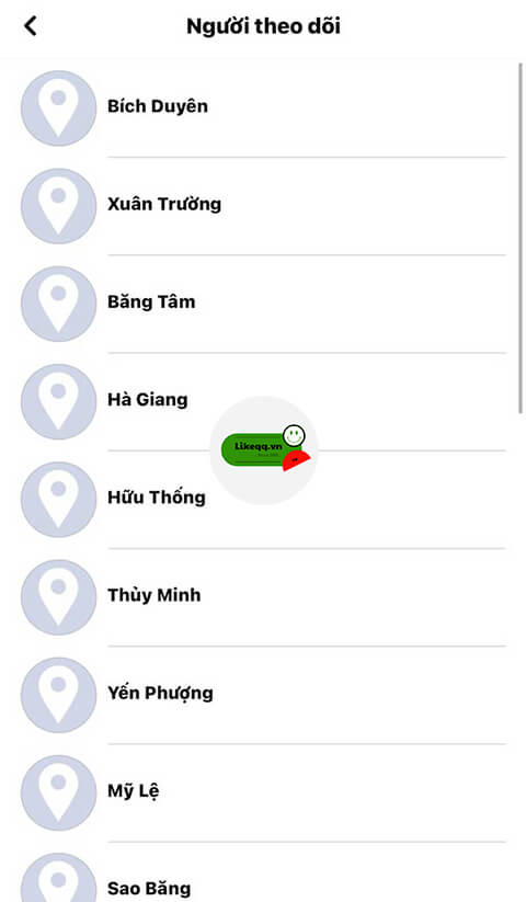 follow ảo