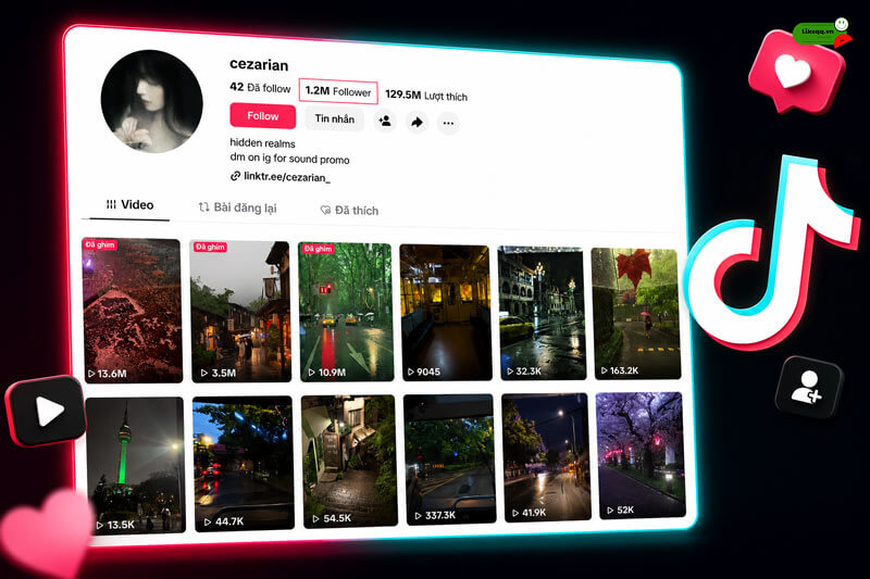 Mua view TikTok là gì