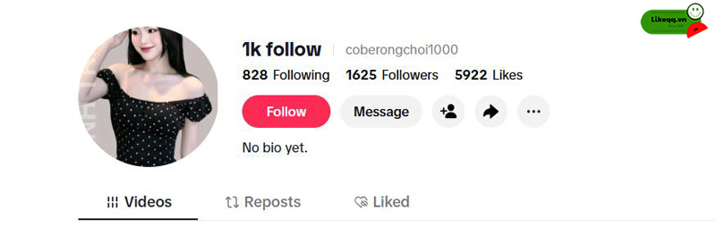 Ý nghĩa 1K follow tren tiktok